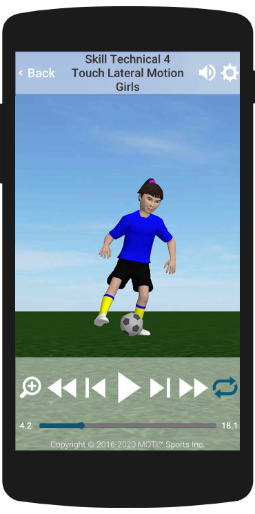 3D Soccer Skills